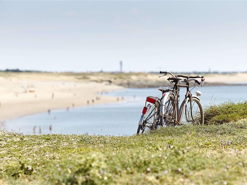 Entdecken Sie die Vendée mit dem Fahrrad - CAMPING*** Les Sirènes